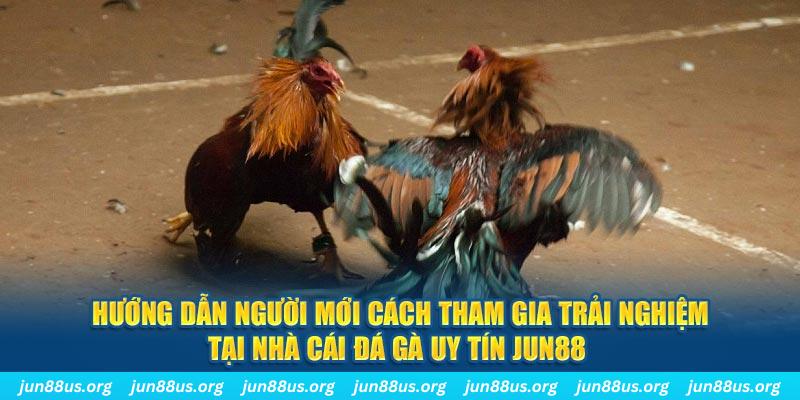 w88 vt loi game dot kich ket noi may chu that bai