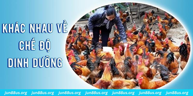 w88 vt xổ số miền nam thứ năm hàng tuần