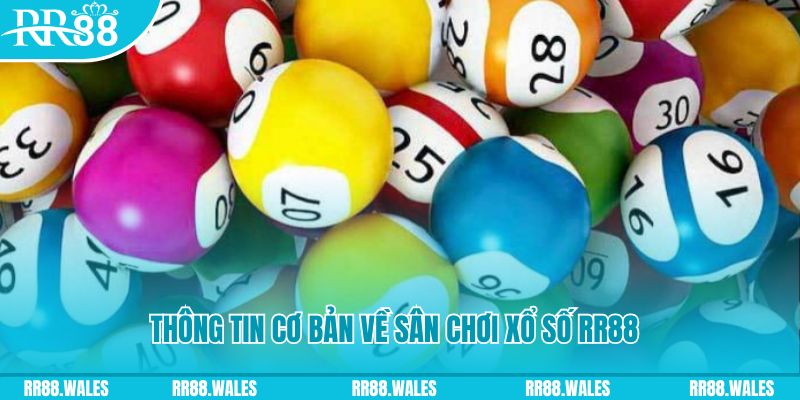 w88 vt đá gà hôm nay