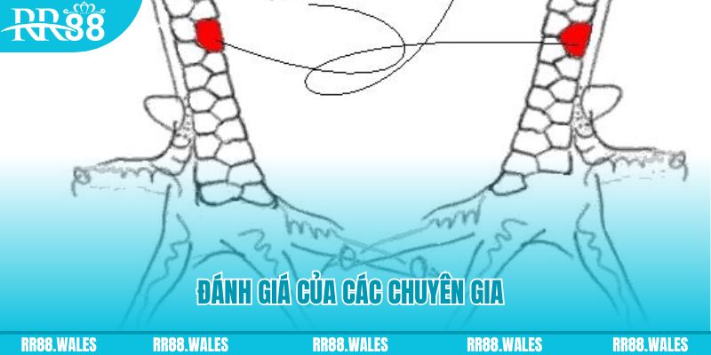 w88 vt V8 Game Bài 3d