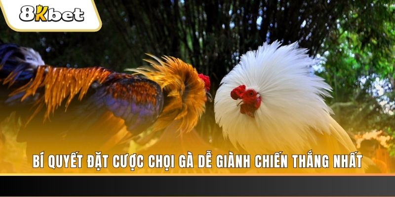 w88 vt xổ số thứ hai hàng tuần