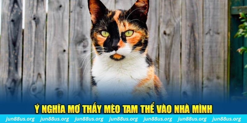 w88 vt RTG Bắn cá