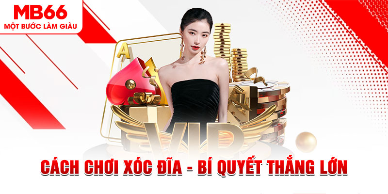 w88 vt trực tiếp đá gà c1 hôm nay