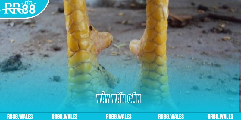 w88 vt đăng nhập nổ hũ hôm nay