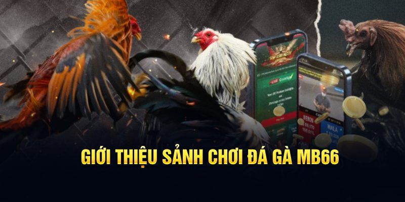 w88 vt đăng nhập poker hôm nay